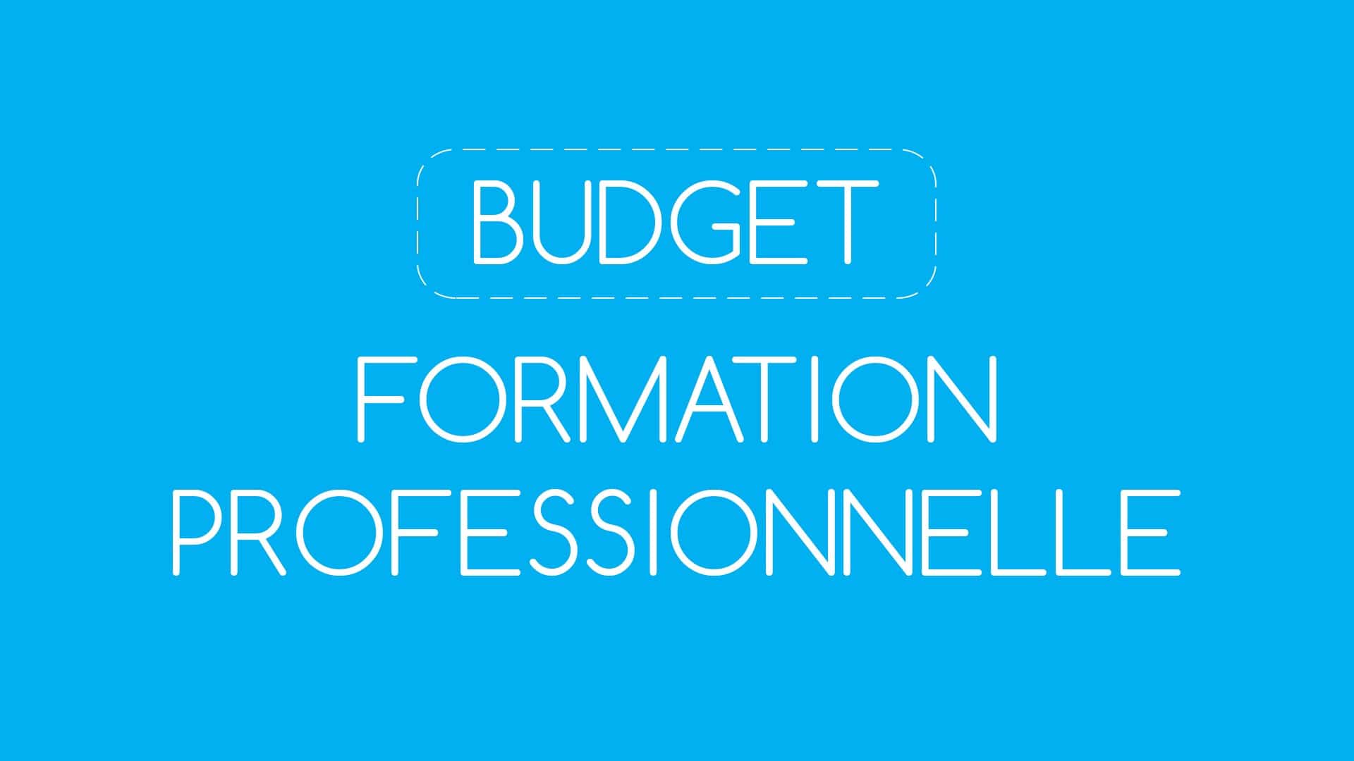 Budget formation professionnelle par Formapro Lyon